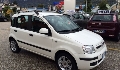 Fiat Panda usata